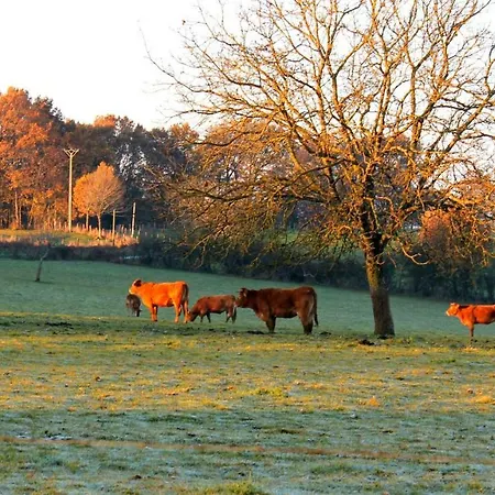 Private Pool With Stunning Views Of The Chateau!! Old Barn *