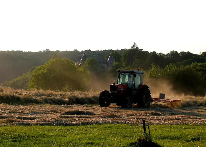 Private Pool With Stunning Views Of The Chateau!! Old Barn 펜션