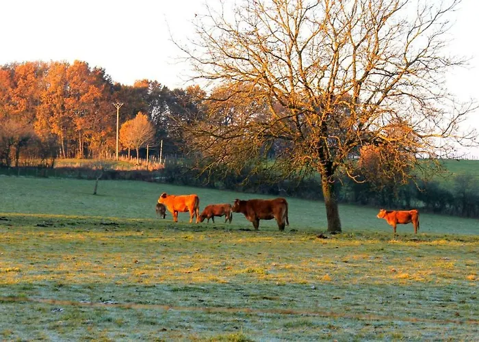 Private Pool With Stunning Views Of The Chateau!! Old Barn *